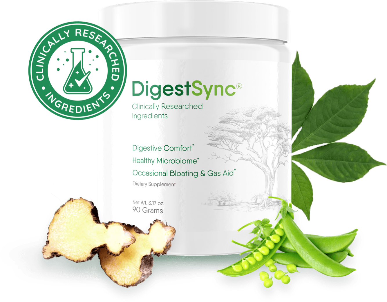 DigestSync home page